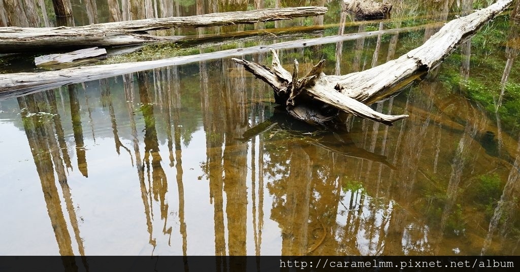 DSC04255.jpg DSC04255.jpg