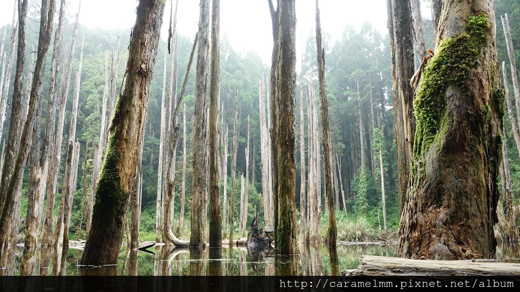 DSC04241.jpg DSC04241.jpg