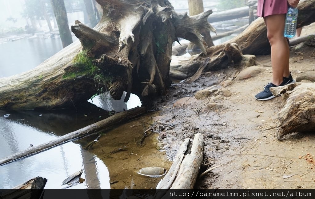 DSC04198.jpg DSC04198.jpg