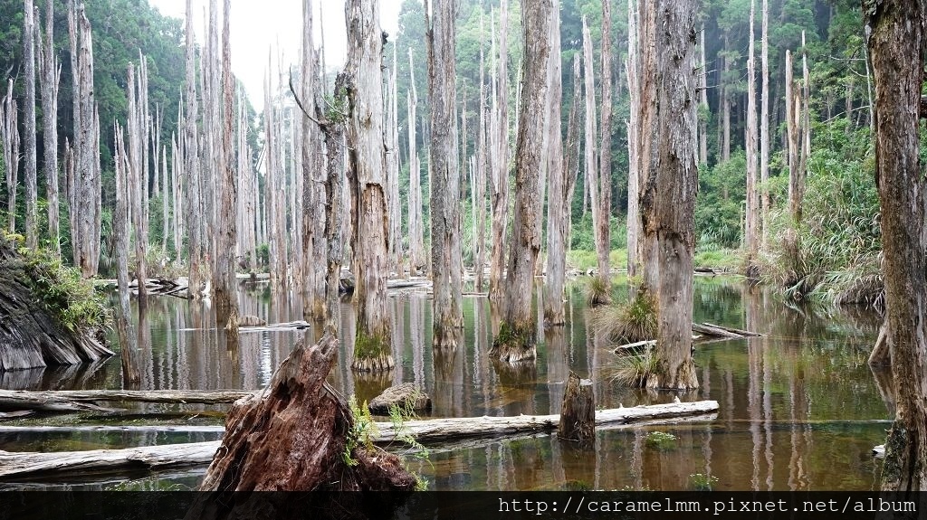 DSC04261.jpg DSC04261.jpg