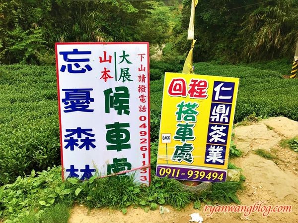 忘憂森林-南投旅遊景點