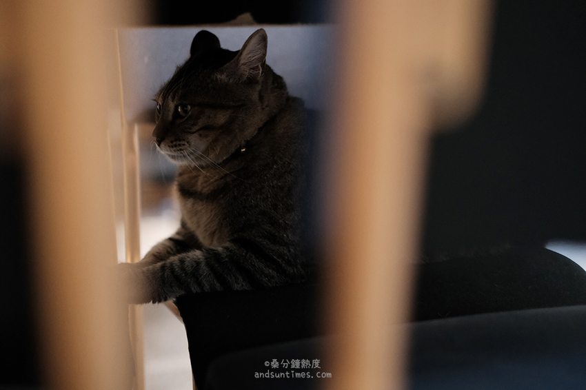 【台北】SUGARbISTRO 小食糖｜東門站、永康街咖啡廳｜棕櫚糖 x 甜點 x 早午餐 - 桑分鐘熱度