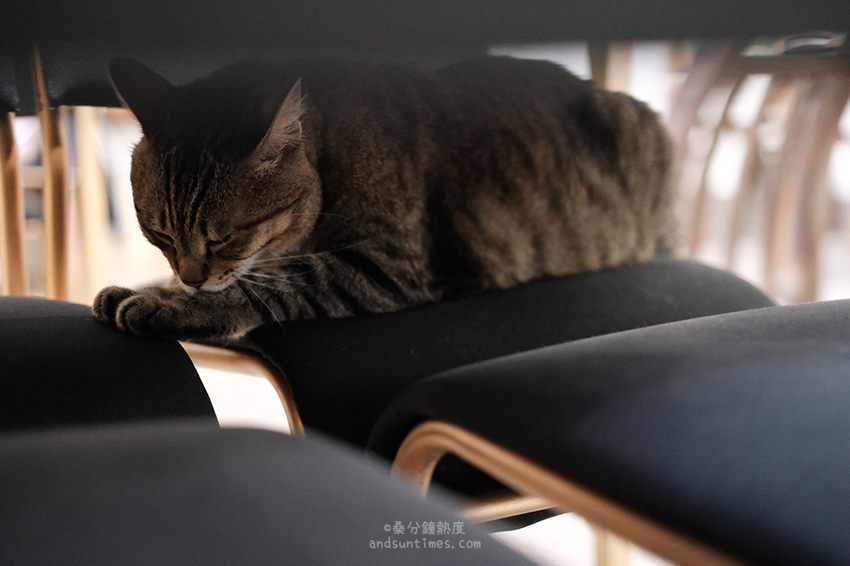 【台北】SUGARbISTRO 小食糖｜東門站、永康街咖啡廳｜棕櫚糖 x 甜點 x 早午餐 - 桑分鐘熱度