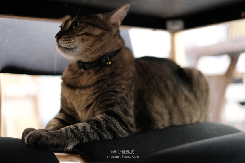 【台北】SUGARbISTRO 小食糖｜東門站、永康街咖啡廳｜棕櫚糖 x 甜點 x 早午餐 - 桑分鐘熱度