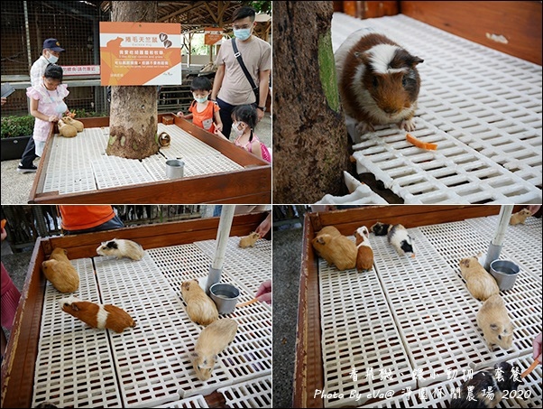 淨園休閒農場-18.jpg