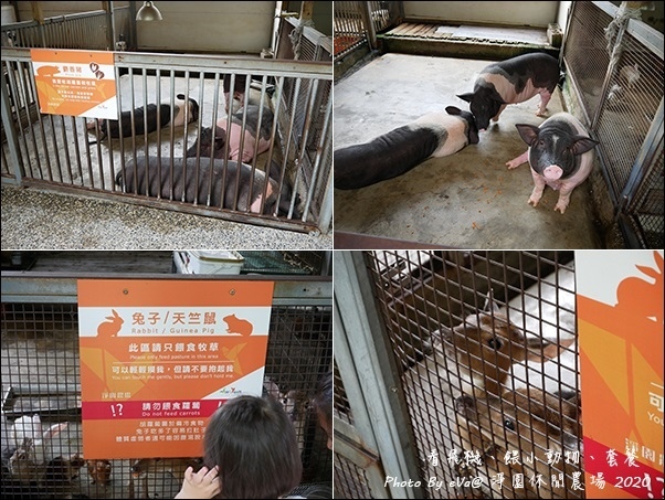 淨園休閒農場-17.jpg
