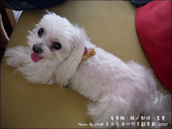 星光空港咖啡景觀餐廳-34.jpg 星光空港咖啡景觀餐廳-34.jpg