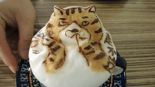 my cofi：Jul 15 Sat 2017 呷飽祙【高雄･My cofi】客製化立體拉花好囂張