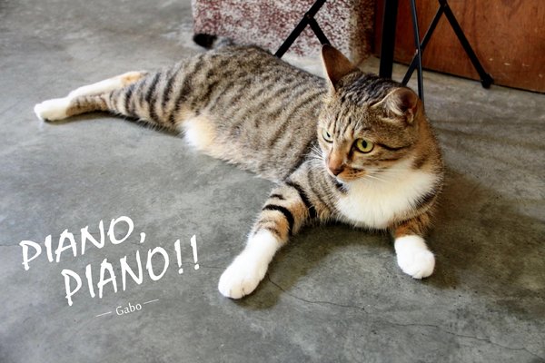 cm20160615___0244057b3091195323932842fa0 cm20160615___0244057b3091195323932842fa0