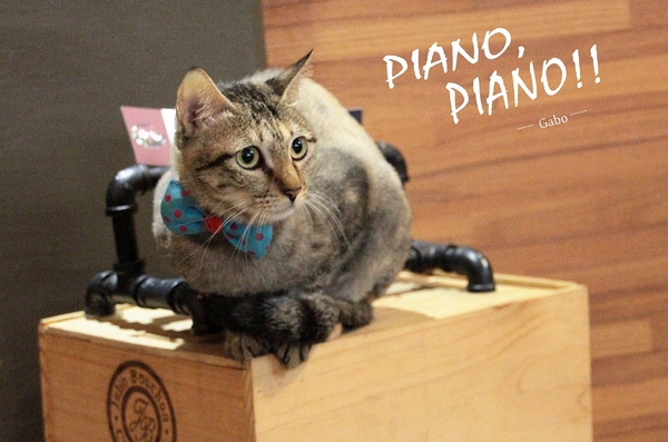 cm20160616___f77310faf37b8722acae591c8b4 cm20160616___f77310faf37b8722acae591c8b4