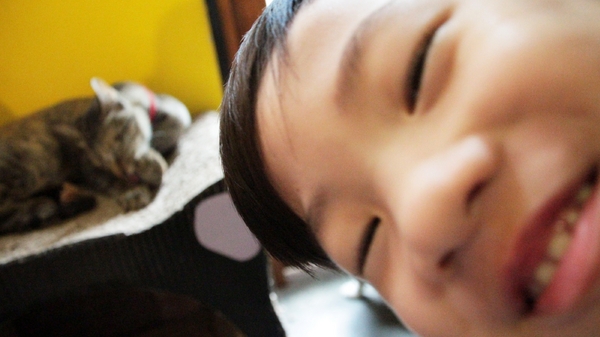 cm20160615___32d43034c28ddd77b16d2220ddc cm20160615___32d43034c28ddd77b16d2220ddc