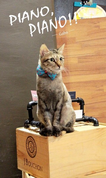 cm20160616___a5f6172961b8393d594a44b40b8 cm20160616___a5f6172961b8393d594a44b40b8