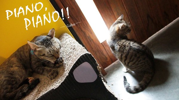 cm20160615___414e70e65d6a586045f566a7899 cm20160615___414e70e65d6a586045f566a7899