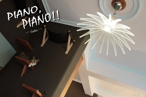 cm20160615___b8fbe6a8ead82a07b72ad5f10a7 cm20160615___b8fbe6a8ead82a07b72ad5f10a7