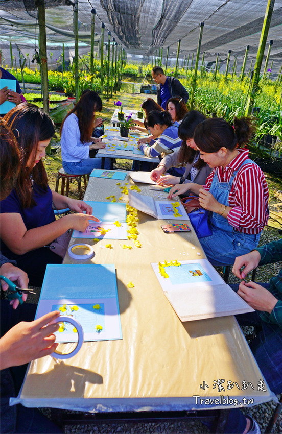 台中新社景點一日遊》花現秘境一日遊:2019台中國際花毯節、松之戀落羽松祕境、眉泉咖啡莊園、利旺文心蘭花園 - 小潔趴趴走旅遊札記