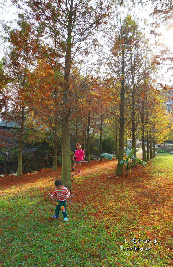台中新社景點一日遊》花現秘境一日遊:2019台中國際花毯節、松之戀落羽松祕境、眉泉咖啡莊園、利旺文心蘭花園 - 小潔趴趴走旅遊札記