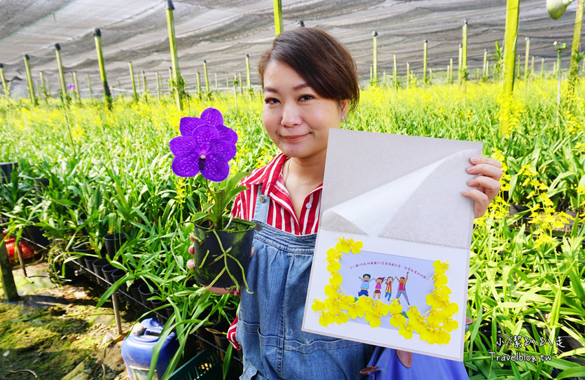 台中新社景點一日遊》花現秘境一日遊:2019台中國際花毯節、松之戀落羽松祕境、眉泉咖啡莊園、利旺文心蘭花園 - 小潔趴趴走旅遊札記