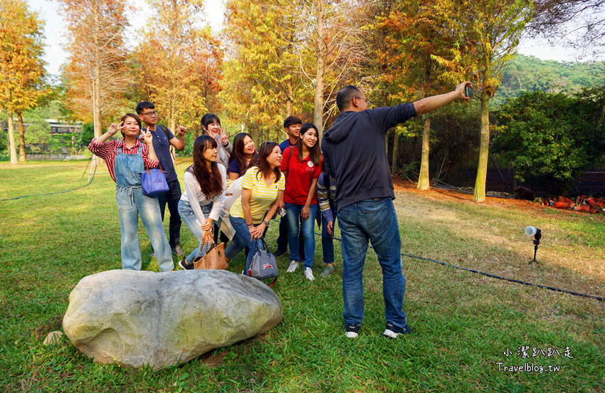 台中新社景點一日遊》花現秘境一日遊:2019台中國際花毯節、松之戀落羽松祕境、眉泉咖啡莊園、利旺文心蘭花園 - 小潔趴趴走旅遊札記