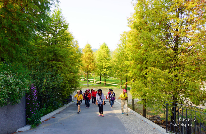 台中新社景點一日遊》花現秘境一日遊:2019台中國際花毯節、松之戀落羽松祕境、眉泉咖啡莊園、利旺文心蘭花園 - 小潔趴趴走旅遊札記