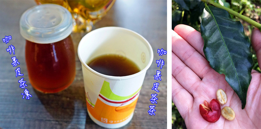 台中新社景點一日遊》花現秘境一日遊:2019台中國際花毯節、松之戀落羽松祕境、眉泉咖啡莊園、利旺文心蘭花園 - 小潔趴趴走旅遊札記