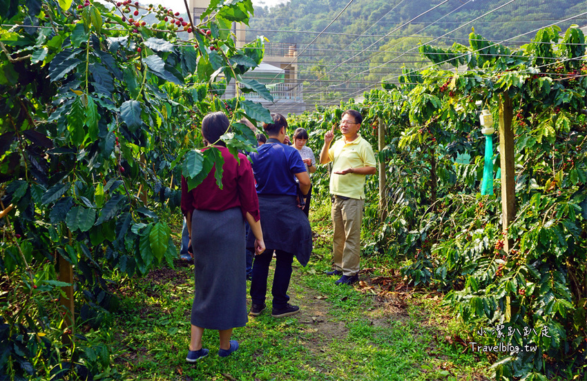 台中新社景點一日遊》花現秘境一日遊:2019台中國際花毯節、松之戀落羽松祕境、眉泉咖啡莊園、利旺文心蘭花園 - 小潔趴趴走旅遊札記