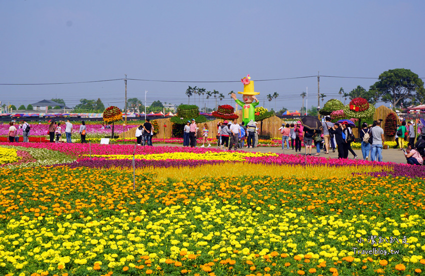 台中新社景點一日遊》花現秘境一日遊:2019台中國際花毯節、松之戀落羽松祕境、眉泉咖啡莊園、利旺文心蘭花園 - 小潔趴趴走旅遊札記