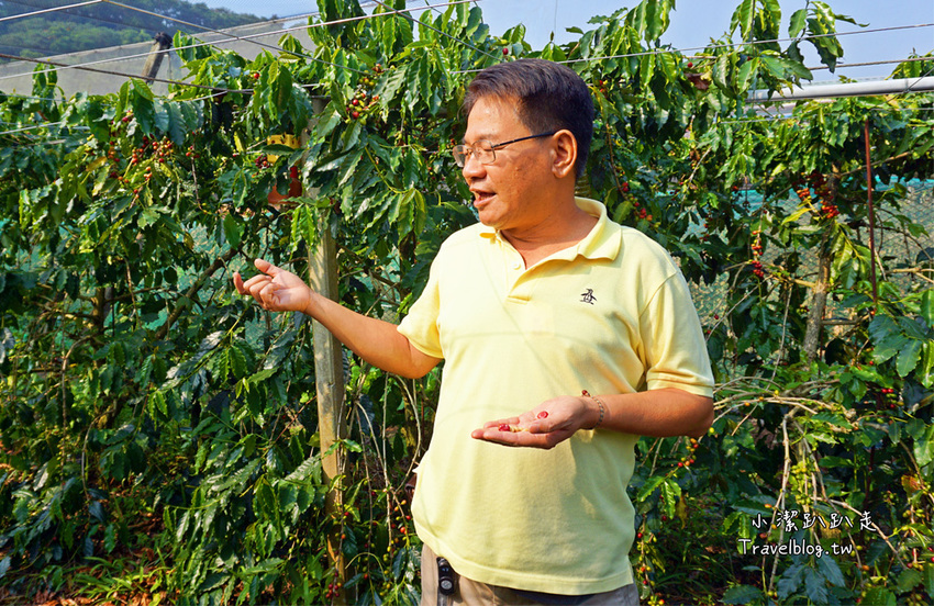 台中新社景點一日遊》花現秘境一日遊:2019台中國際花毯節、松之戀落羽松祕境、眉泉咖啡莊園、利旺文心蘭花園 - 小潔趴趴走旅遊札記