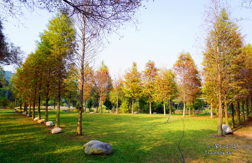 台中新社景點一日遊》花現秘境一日遊:2019台中國際花毯節、松之戀落羽松祕境、眉泉咖啡莊園、利旺文心蘭花園 - 小潔趴趴走旅遊札記