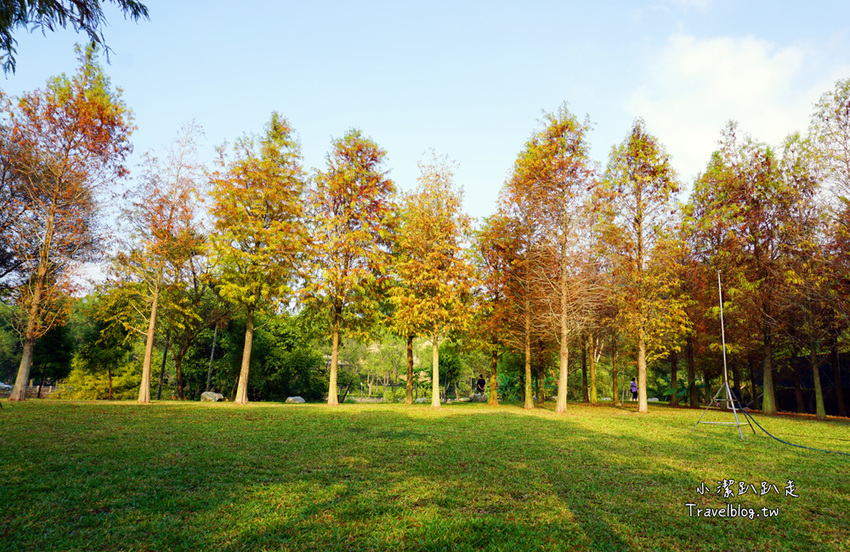 台中新社景點一日遊》花現秘境一日遊:2019台中國際花毯節、松之戀落羽松祕境、眉泉咖啡莊園、利旺文心蘭花園 - 小潔趴趴走旅遊札記