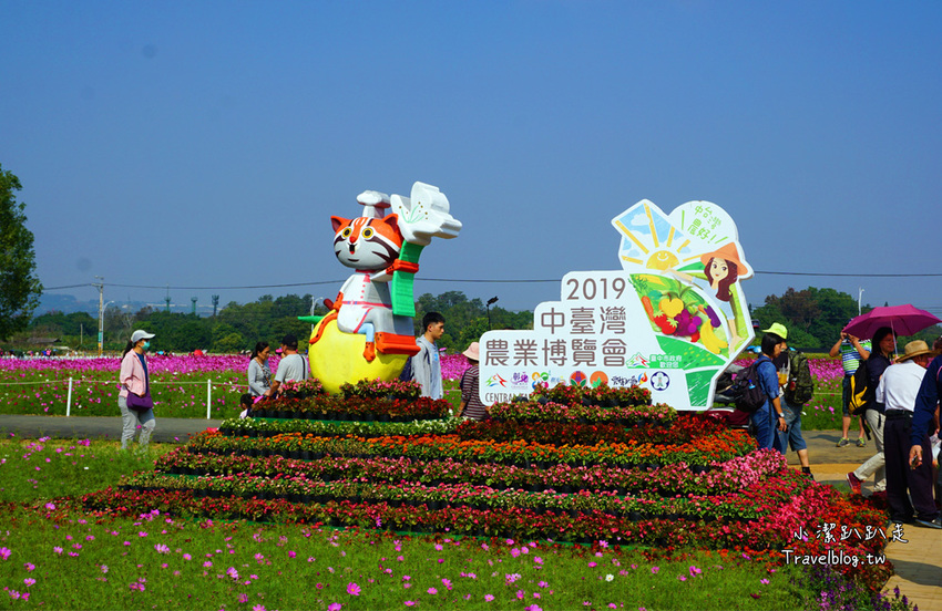 台中新社景點一日遊》花現秘境一日遊:2019台中國際花毯節、松之戀落羽松祕境、眉泉咖啡莊園、利旺文心蘭花園 - 小潔趴趴走旅遊札記