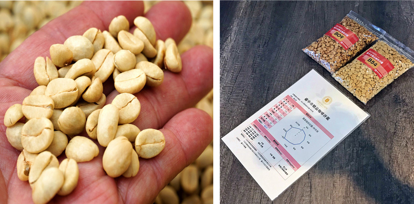 台中新社景點一日遊》花現秘境一日遊:2019台中國際花毯節、松之戀落羽松祕境、眉泉咖啡莊園、利旺文心蘭花園 - 小潔趴趴走旅遊札記