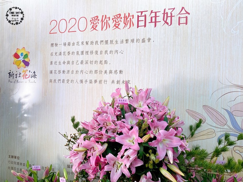 2020新社花海暨臺中國際花毯節，11/22花況，附園區資訊/免費接駁車/公車/寵物友善 - Cyndi loves享食天堂
