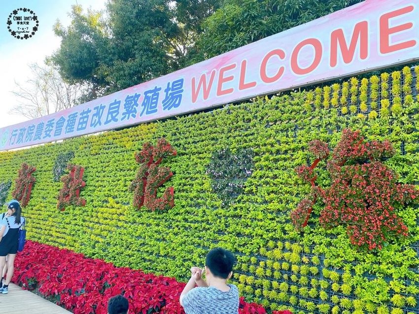 2020新社花海暨臺中國際花毯節，11/22花況，附園區資訊/免費接駁車/公車/寵物友善 - Cyndi loves享食天堂