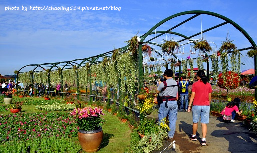 2015臺中花毯節-24.JPG