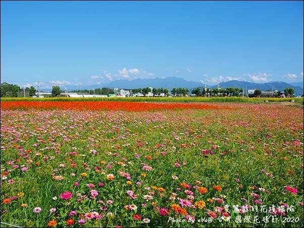 2020台中國際花毯節-26.jpg