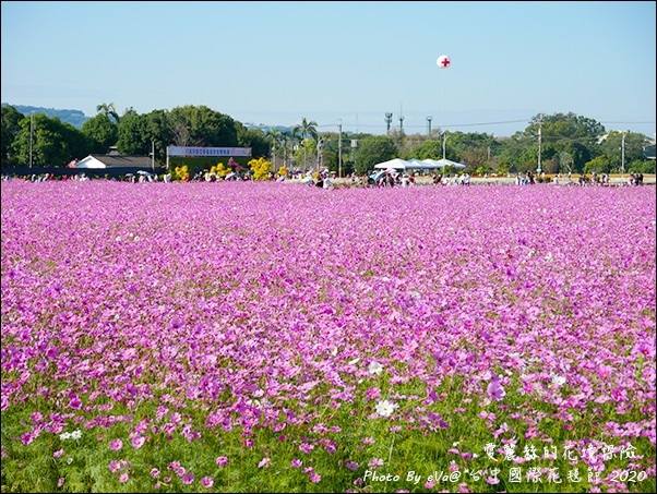 2020台中國際花毯節-34.jpg