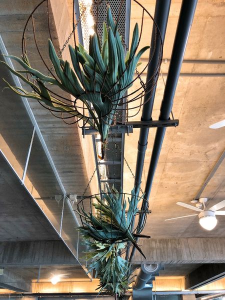 loft 休閒 (41) (768x1024).jpg loft 休閒 (41) (768x1024).jpg