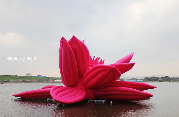 IMG_2954.jpg IMG_2954.jpg