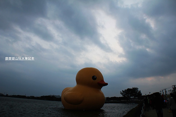 IMG_2844.jpg IMG_2844.jpg