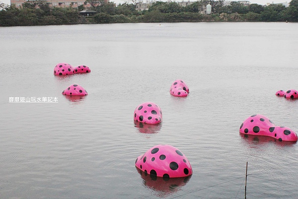 IMG_2904.jpg IMG_2904.jpg