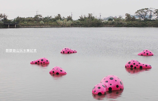 IMG_2918.jpg IMG_2918.jpg