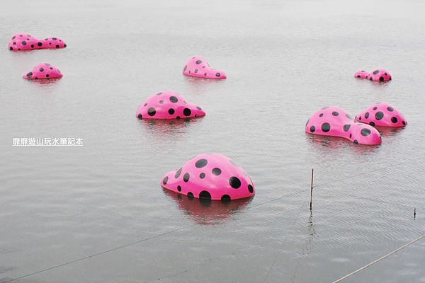 IMG_2917.jpg IMG_2917.jpg