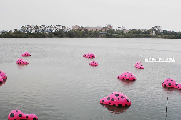 IMG_2925.jpg IMG_2925.jpg