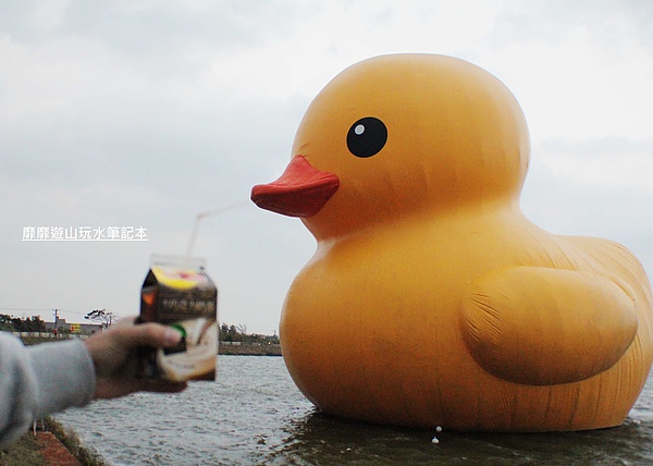 IMG_2742.jpg IMG_2742.jpg