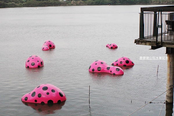 IMG_2920.jpg IMG_2920.jpg