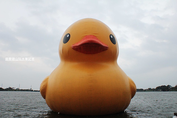 IMG_2777.jpg IMG_2777.jpg