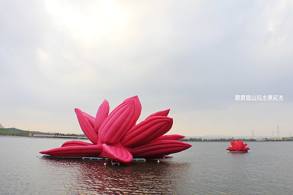 _MG_2936.jpg _MG_2936.jpg