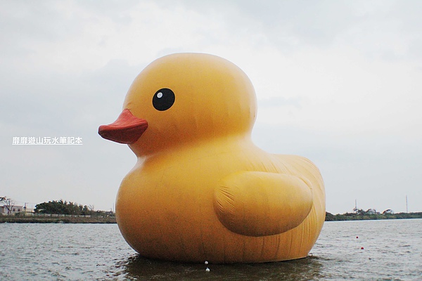 IMG_2744.jpg IMG_2744.jpg