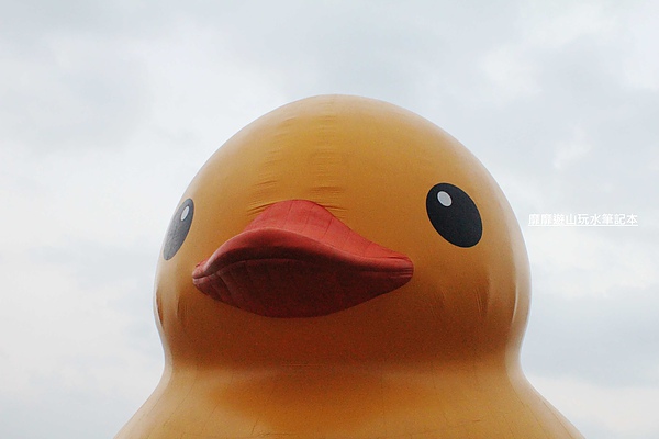 IMG_2769.jpg IMG_2769.jpg