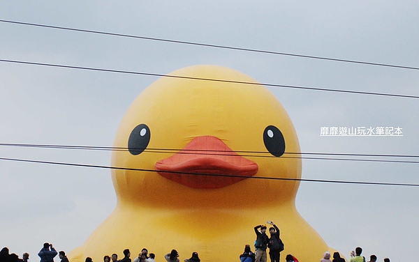 IMG_2896.jpg IMG_2896.jpg